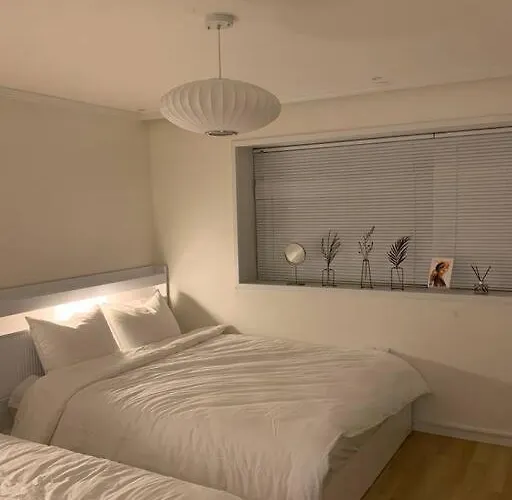 New Open-oublier,seoul Stn 5min By Walk,cozy * Сеул